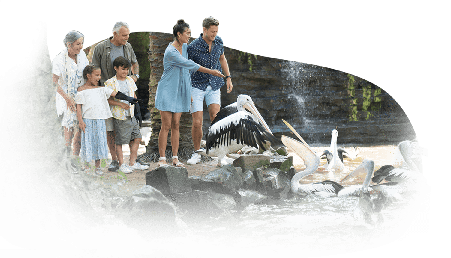 Click to Show Information