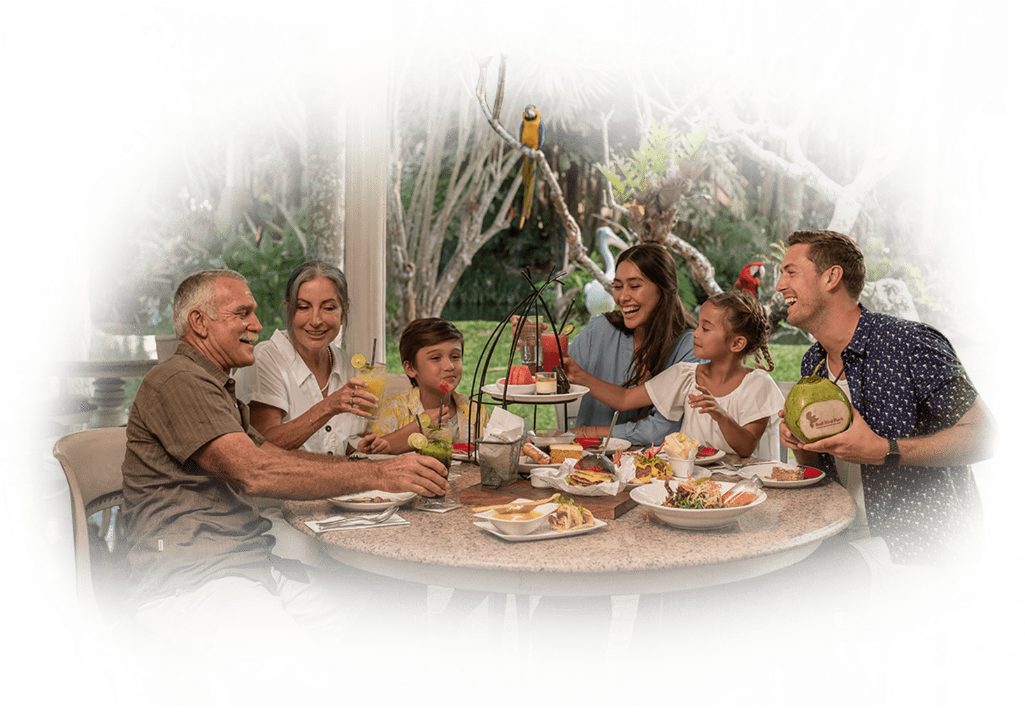 Click to Show Information