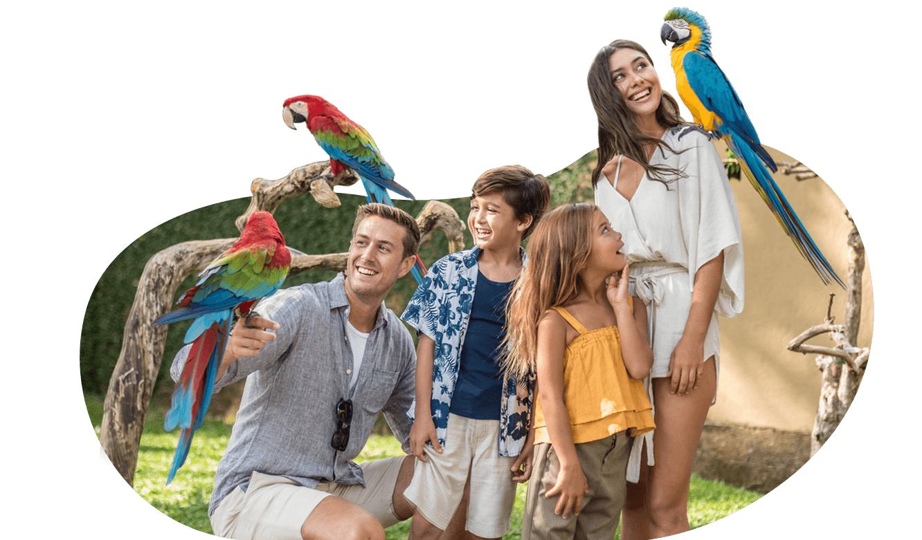 Click to Show Information