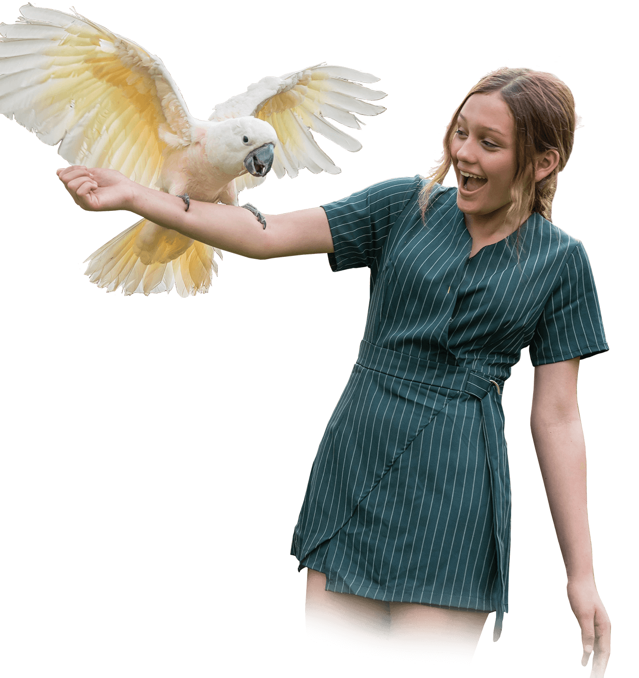 Click to Show Information