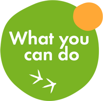 What you can do